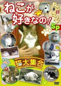 ケース無::bs::ねこ 猫 ざ ランドSP ねこが好きなの! 猫大集合 レンタル落ち 中古 DVD