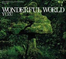 ケース無::【ご奉仕価格】WONDERFUL WORLD 通常盤 レンタル落ち 中古 CD