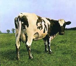 ケース無::Atom Heart Mother 輸入盤 レンタル落ち 中古 CD