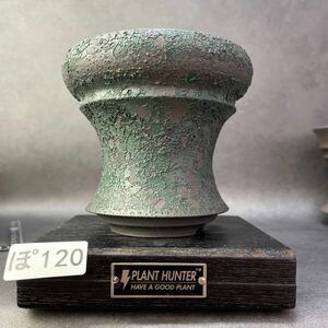 ぽ120 Lサイズ 植木鉢 陶器 検（塊根植物 アガベ パキプス invisible ink raw life factory SRL 信楽焼 伝市鉢カタチ製作所 グラキリス)