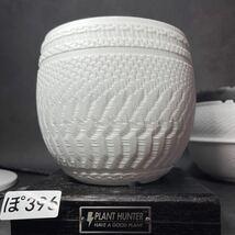 ぽ396 LLサイズ 植木鉢 陶器 検（塊根植物 アガベ パキプス invisible ink raw life factory SRL 信楽焼 伝市鉢カタチ製作所 グラキリス)_画像7