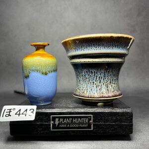 ぽ443 Mサイズ 植木鉢 陶器 検（塊根植物 アガベ パキプス invisible ink raw life factory SRL 信楽焼 伝市鉢カタチ製作所 グラキリス)