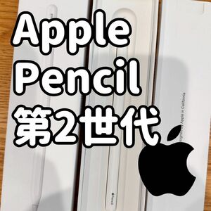 Apple Pencil 第2世代 A2051