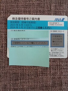 ANA株主優待券 1枚 送料無料