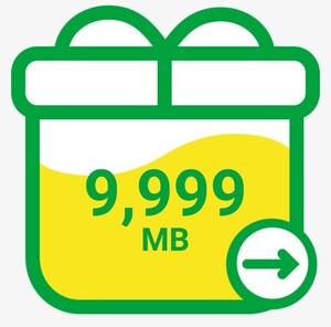 コード通知 mineo パケットギフト 9999MB マイネオ パケットギフトコード