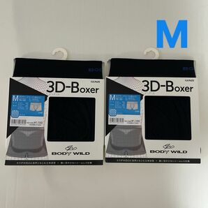 新品☆ ボディワイルド BODY WILD グンゼ メッシュ 前とじ ボクサーブリーフ 3D-Boxer 2枚セット（Mサイズ）