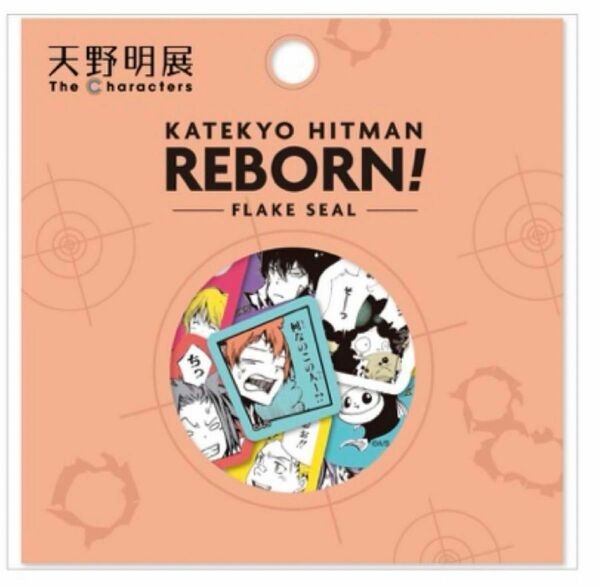 天野明展 家庭教師REBORN！ フレークシール 雲雀恭弥 雲雀 六道骸 獄寺