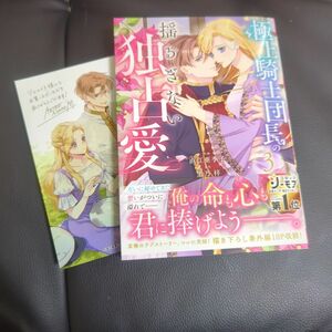 極上騎士団長の揺るぎない独占愛　３ （ＢＦ　ＣＯＭＩＣＳ　な３－３） 直江亜季子／作画　黒乃梓／原作　アニメイト特典付き