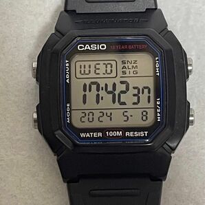 CASIO カシオ W-800H 3240