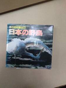 山溪カラー名鑑◆日本の野鳥◆鳥◆図鑑◆生きもの