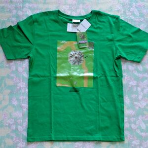 【新品】ゼビウス　半袖Tシャツ　グリーン　M 半袖