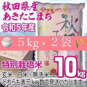 農家直送 秋田県産 令和5年 あきたこまち 10kg 特別栽培米 秋田小町