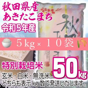 農家直送 秋田県産 令和5年 あきたこまち ５０kg 特別栽培米
