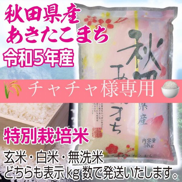 農家直送 秋田県産 令和5年 あきたこまち ６kg 特別栽培米 秋田小町 無洗米も対応