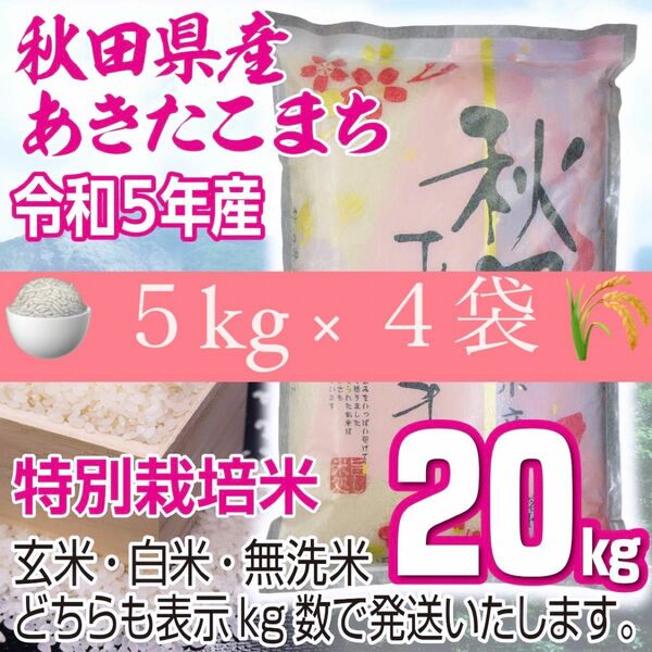 農家直送 秋田県産 令和5年 あきたこまち 20kg 特別栽培米 秋田小町 無洗米も対応