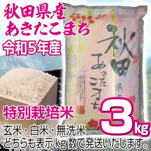 農家直送 秋田県産 令和5年 あきたこまち 3kg 特別栽培米 秋田小町