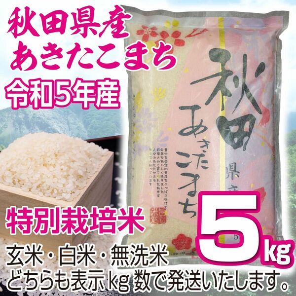 農家直送 秋田県産 令和5年 あきたこまち 5kg 特別栽培米 秋田小町