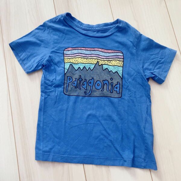 Patagonia Tシャツ