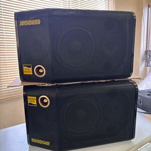 JOYSOUND MODEL-CS-H02 pair 