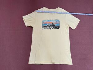 patagonia パタゴニア　Tシャツ 半袖 アウトドア USED 