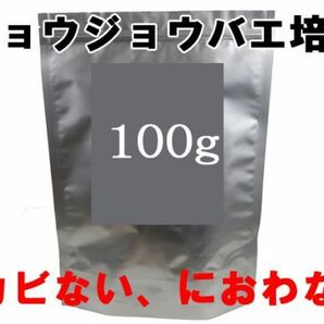 ショウジョウバエの餌 Fruit Fly Media 100ｇ キイロショウジョウバエ トリニドショウジョウバエ ヤドクガエルの画像1