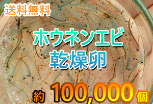 【送料無料】ホウネンエビ　休眠卵　100,000匹相当 耐久卵　メダカ　餌　ミジンコ　稚魚　上陸　ヤモリ　サンショウウオ