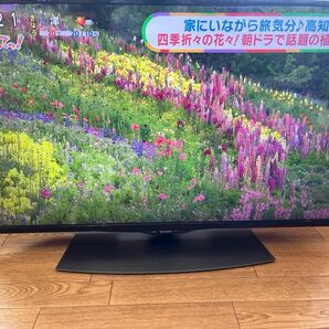 4K 4T -C40BJ1 2020年製品　首振り手動　　美品 SHARP 液晶テレビ　　リモコン新品つけます