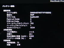 ジャンク　13インチ MacBook Pro Early2015_画像9