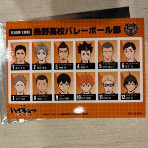 ハイキュー ゴミ捨て場の決戦 選手名鑑風ブロマイド 烏野 劇場版