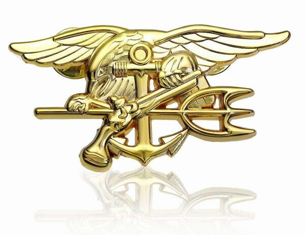 【在庫処分】SEALs Navy ピンバッジ ピンズ レプリカ 徽章 Flyee バッジ ミリタリー Don C0008