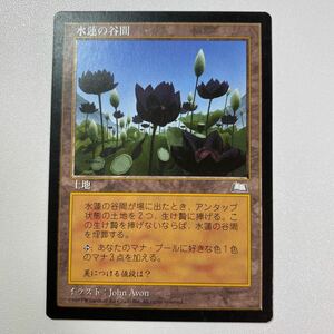 水蓮の谷間　② 日本語　MTG ウェザーライト