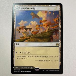 陽光昇りの小道　日本語　MTG ゼンディカーの夜明け