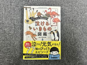 泣けるいきもの図鑑／今泉忠明 監修／学研