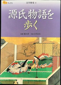 源氏物語を歩く (楽学ブックス?文学歴史) (楽学ブックス 文学歴史 4)