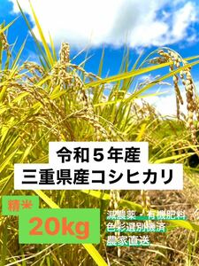 令和5年収穫　三重県産コシヒカリ 20kg 精米（白米）　産地・農家直送