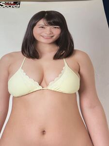 【アサ芸シークレット】応募者全員サービス等身大ポスター　星名美津紀