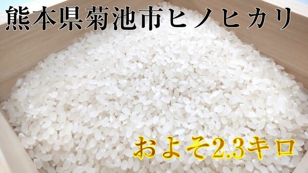 お米 白米 15合 約2.3㎏ 農家直売米 熊本県産 菊池産 ヒノヒカリ ひのひかり 精米 令和5年 2023年収穫分 菊池米