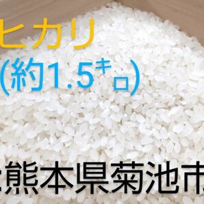 米 白米 10合 約1.5kg 農家直売米 国産米 熊本県産 菊池産 ヒノヒカリ ひのひかり 精米 令和5年 2023年 収穫分