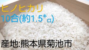 米 白米 10合 約1.5kg 農家直売米 国産米 熊本県産 菊池産 ヒノヒカリ ひのひかり 精米 令和5年 2023年 収穫分