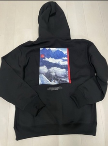 タグ付未使用国内正規品THE NORTH FACE 30th ヌプシスウェットフーディ 30th Nuptse Sweat Hoodie プルオーバースウェットパーカー