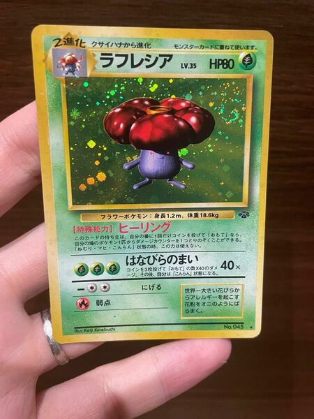 ポケモンカード 旧裏 ラフレシア