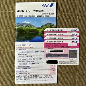 最新　ANA 株主優待券　4枚（2024年6月1日〜2025年5月31日） 