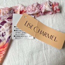 【送料無料】★LISE CHARMEL★リズシャルメル ★高級品★タグ付き新品未使用品★ショーツ ★下着 ★M程度 薄ピンク マルチカラー 花柄刺繍_画像4