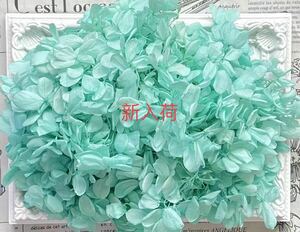  preserved flower pillar mid hydrangea 20g rom and rear (before and after) Tiffany blue 