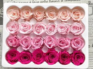  консервированный цветок цветок диаметр 2-2.5cm 24 колесо роза .. розовый & розовый 