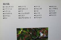 春の鳥/野鳥の歳時記１■日本鳥類保護連盟監修■小学館/昭和59年/初版■付録「小冊子」付_画像2