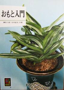 おもと入門/カラーブックス■榊原八朗/田中直光■保育社/昭和51年