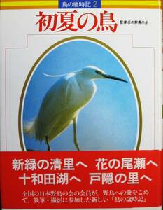  первый лето. птица / птица. лет час регистрация 2# Япония дикая птица. ...# учеба изучение фирма /1983 год / первая версия / с лентой 