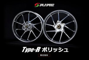 ★業販価格は問合せ下さい★限定新品ゲイルスピードアルミ鍛造ホイール前後セットT-Rポリッシュ　HAYABUSA22～　350/600-17　28352901