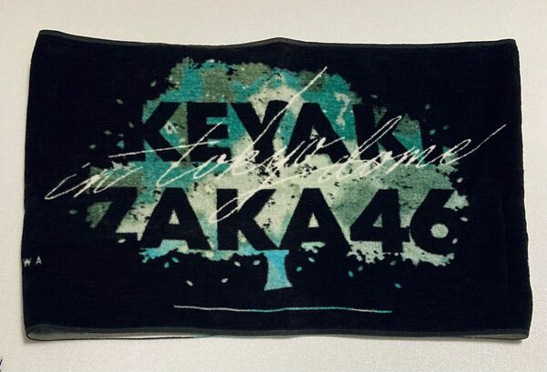 欅坂46 アリーナツアー2019 東京ドーム公演メンバー名入り箱推しスポーツタオル